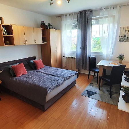 Apartman 64 - Besplatan Parking Za Goste Novi Sad Exterior foto