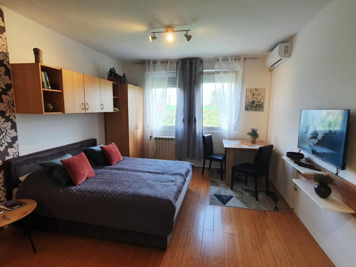 Apartman 64 - Besplatan Parking Za Goste Novi Sad Exterior foto